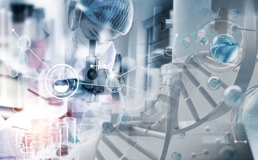 အလှအပနောက်ကွယ်မှရွေးချယ်မှု - အလှကုန်ပစ္စည်းများနှင့်ရေရှည်တည်တံ့ခိုင်မြဲသောဘဝအကြားနက်ရှိုင်းသောဆက်သွယ်မှု