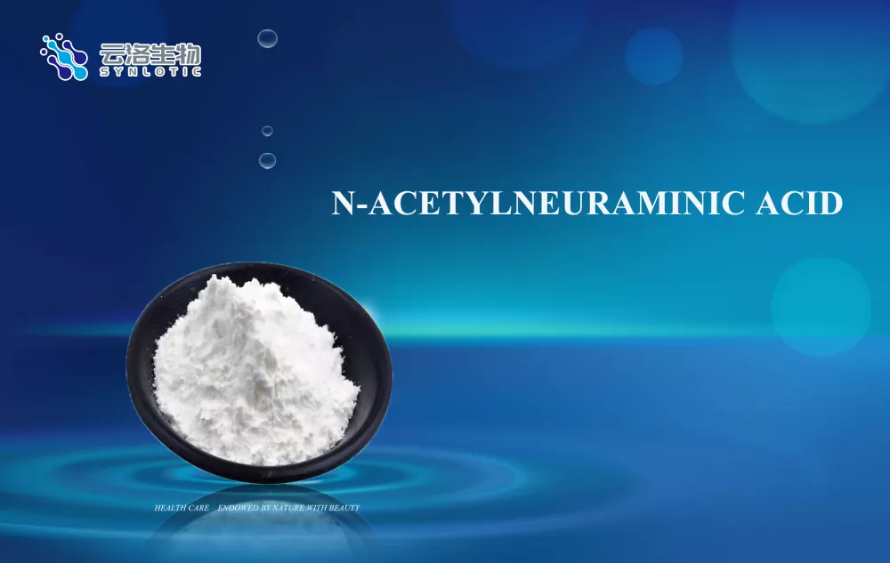 n-acetylneuraminic အက်ဆစ်